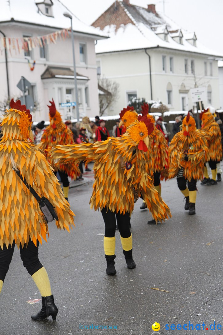 Narrentreffen-Radolfzell-20012013-bodensee-community-seechat-de_440.JPG