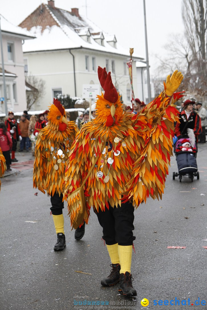 Narrentreffen-Radolfzell-20012013-bodensee-community-seechat-de_441.JPG