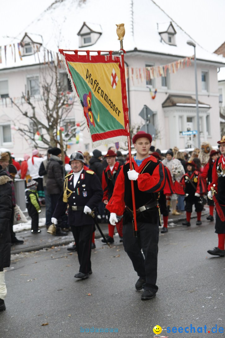 Narrentreffen-Radolfzell-20012013-bodensee-community-seechat-de_442.JPG