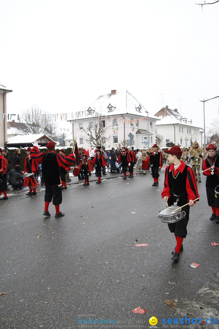 Narrentreffen-Radolfzell-20012013-bodensee-community-seechat-de_443.JPG