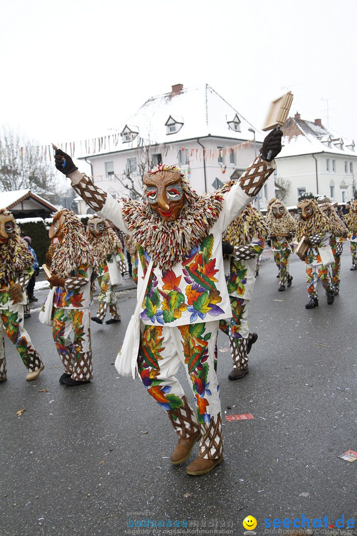 Narrentreffen-Radolfzell-20012013-bodensee-community-seechat-de_444.JPG