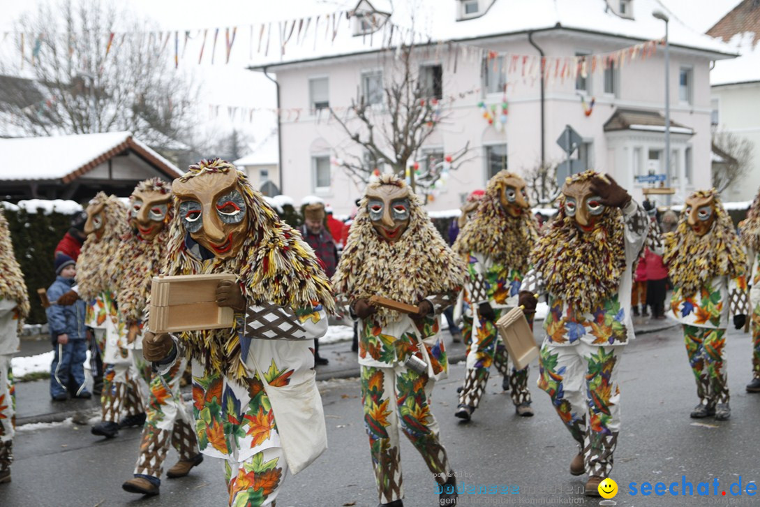 Narrentreffen-Radolfzell-20012013-bodensee-community-seechat-de_445.JPG