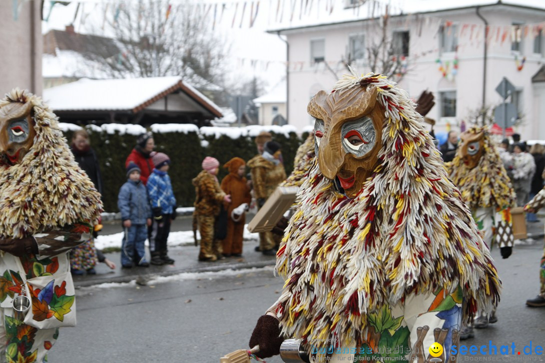 Narrentreffen-Radolfzell-20012013-bodensee-community-seechat-de_446.JPG