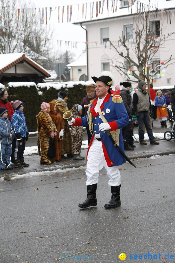 Narrentreffen-Radolfzell-20012013-bodensee-community-seechat-de_448.JPG