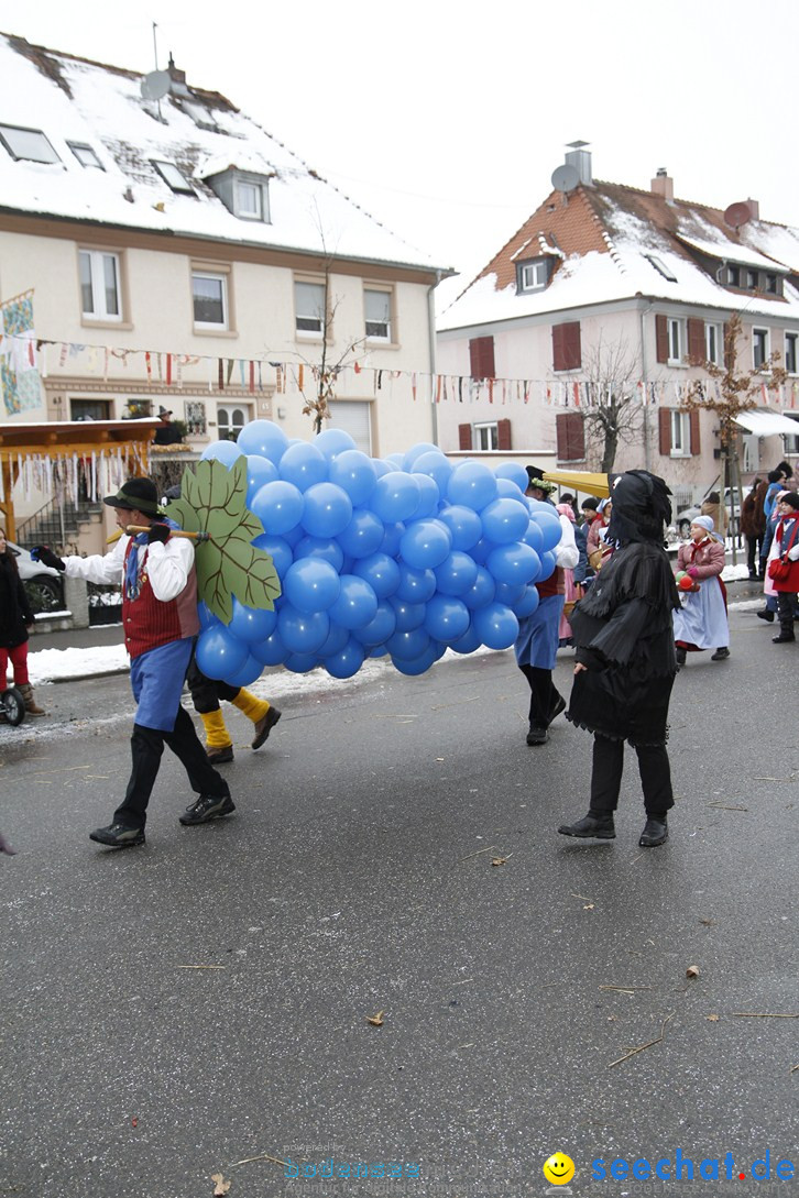 Narrentreffen-Radolfzell-20012013-bodensee-community-seechat-de_452.JPG