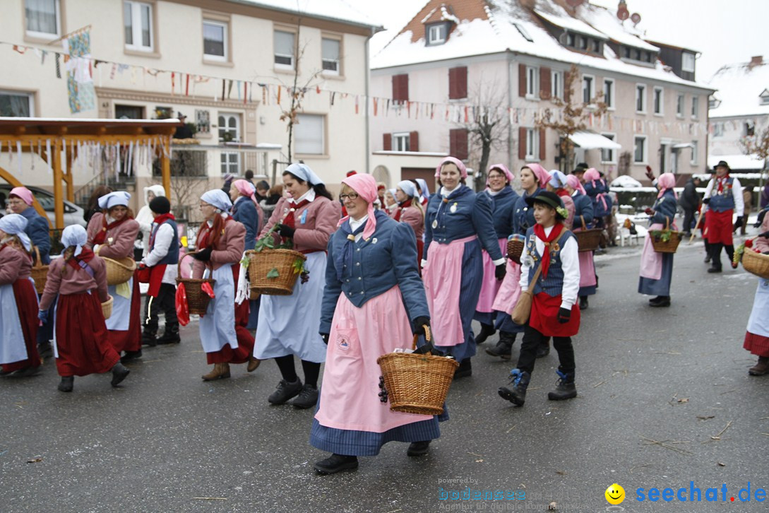 Narrentreffen-Radolfzell-20012013-bodensee-community-seechat-de_453.JPG