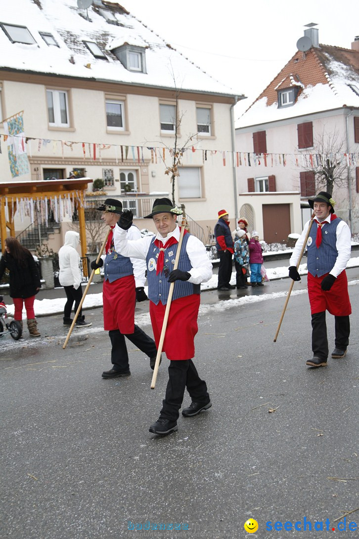 Narrentreffen-Radolfzell-20012013-bodensee-community-seechat-de_454.JPG