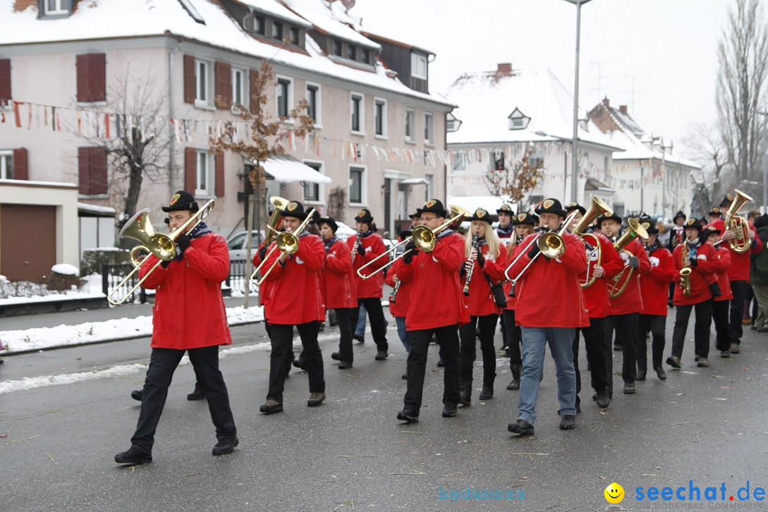 Narrentreffen-Radolfzell-20012013-bodensee-community-seechat-de_455.JPG