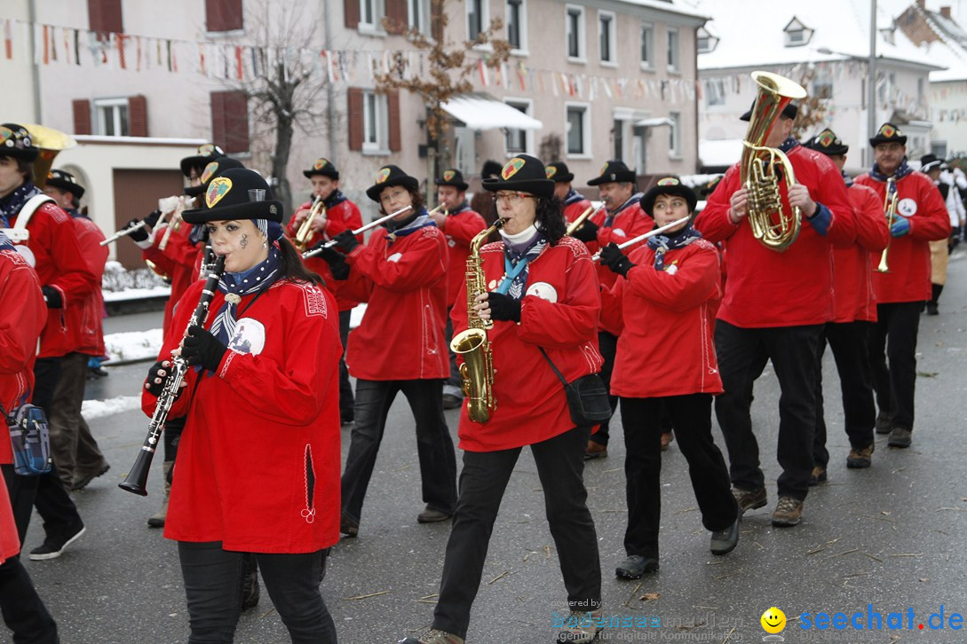 Narrentreffen-Radolfzell-20012013-bodensee-community-seechat-de_456.JPG