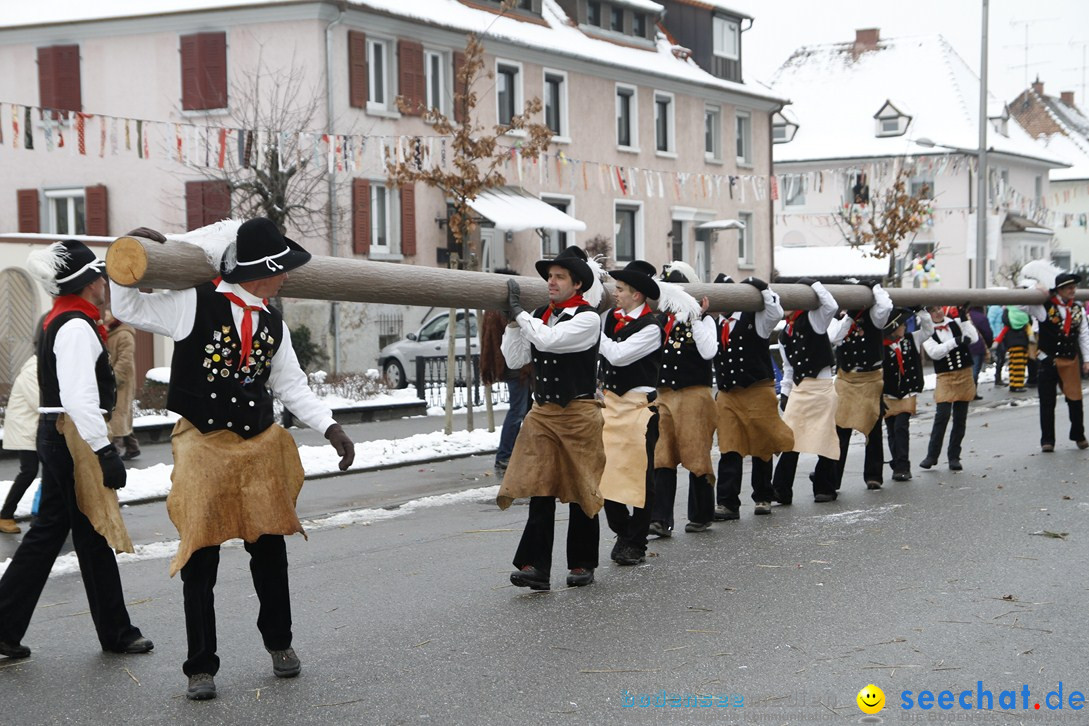 Narrentreffen-Radolfzell-20012013-bodensee-community-seechat-de_457.JPG