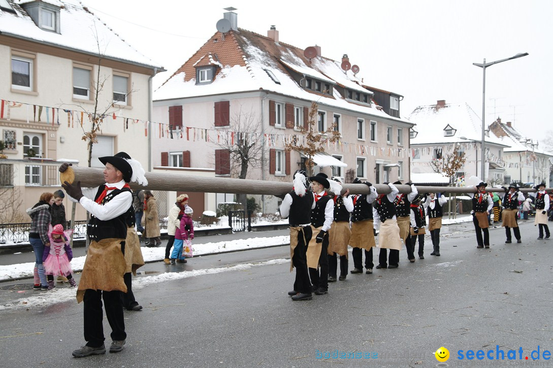 Narrentreffen-Radolfzell-20012013-bodensee-community-seechat-de_458.JPG