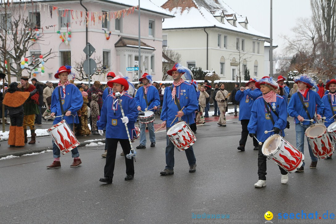 Narrentreffen-Radolfzell-20012013-bodensee-community-seechat-de_459.JPG