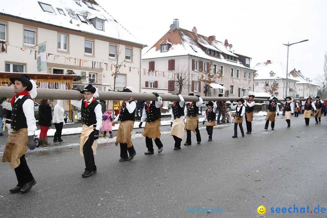 Narrentreffen-Radolfzell-20012013-bodensee-community-seechat-de_46.JPG