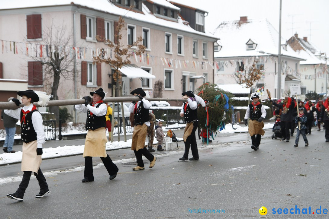 Narrentreffen-Radolfzell-20012013-bodensee-community-seechat-de_460.JPG