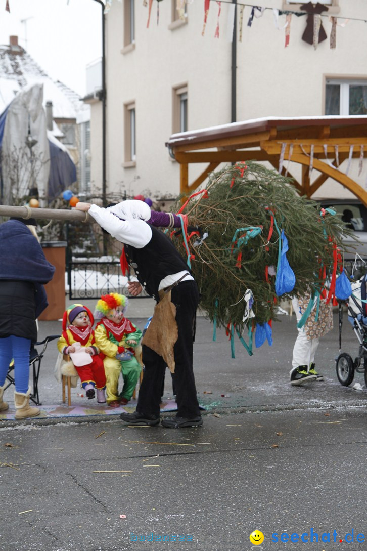 Narrentreffen-Radolfzell-20012013-bodensee-community-seechat-de_461.JPG