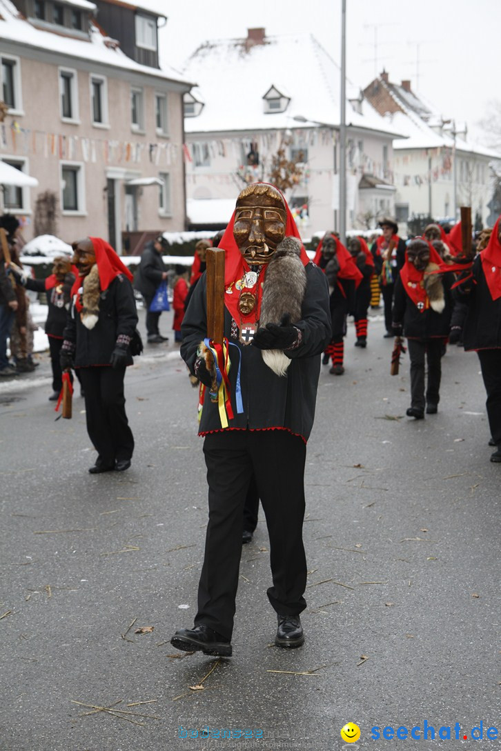 Narrentreffen-Radolfzell-20012013-bodensee-community-seechat-de_463.JPG