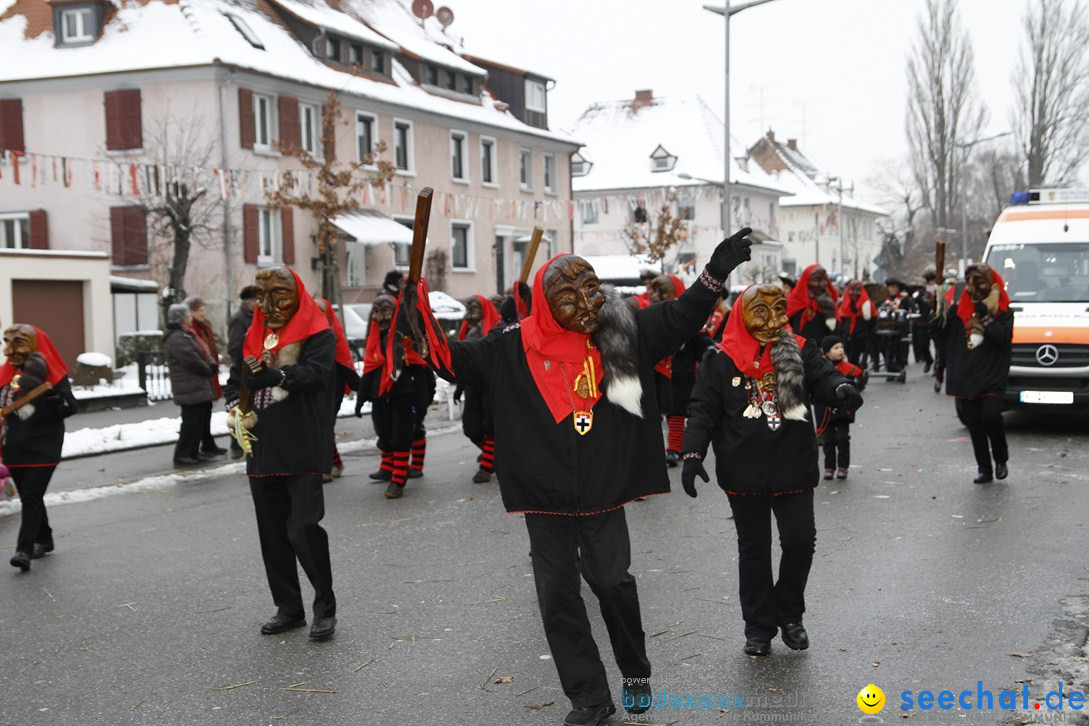 Narrentreffen-Radolfzell-20012013-bodensee-community-seechat-de_464.JPG