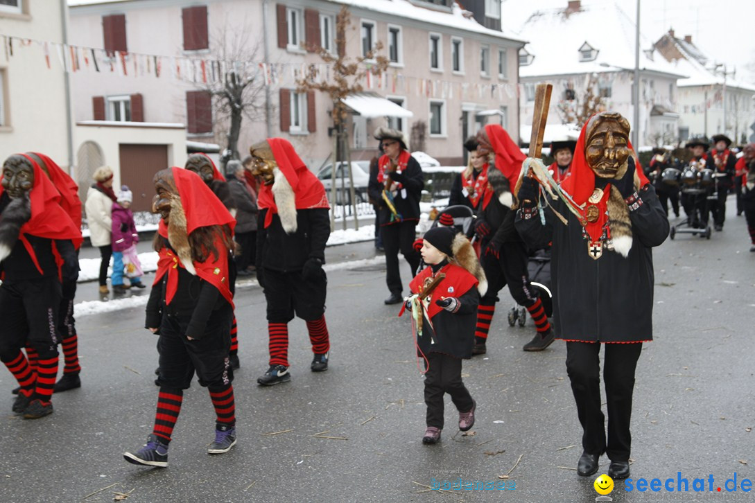 Narrentreffen-Radolfzell-20012013-bodensee-community-seechat-de_465.JPG