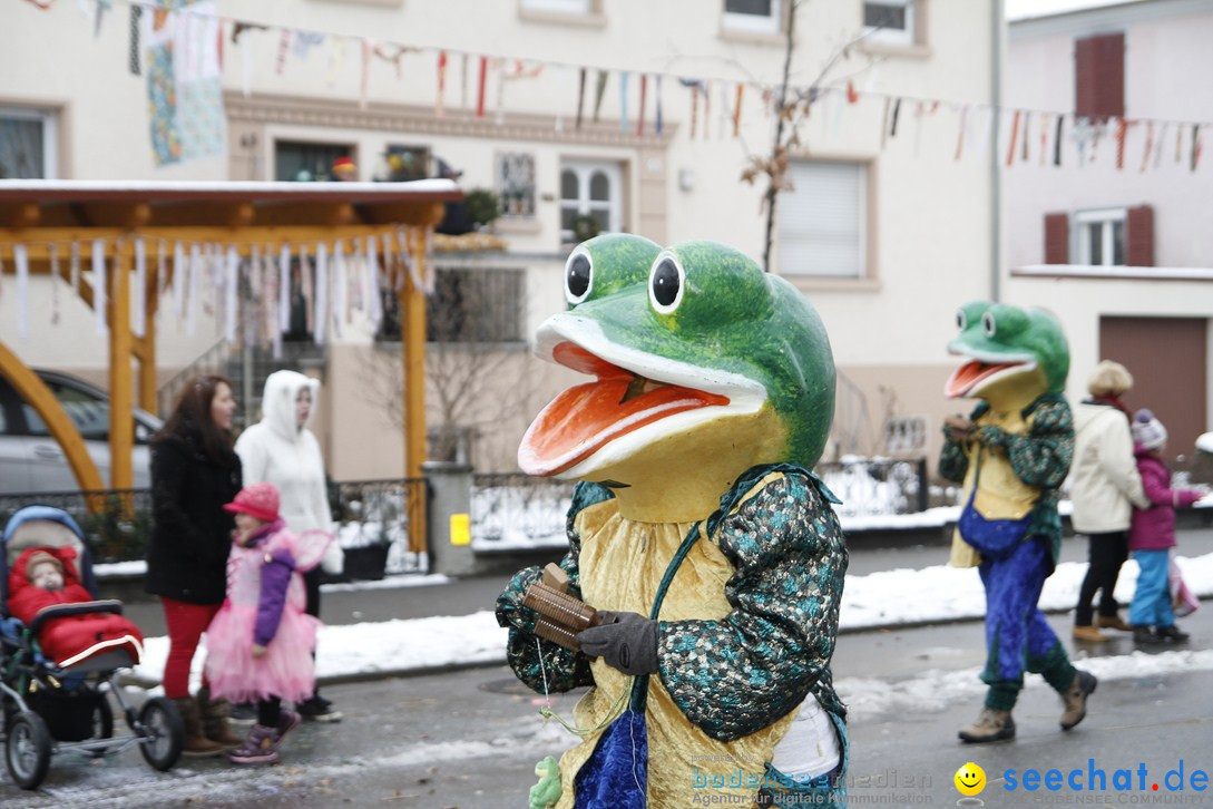 Narrentreffen-Radolfzell-20012013-bodensee-community-seechat-de_472.JPG