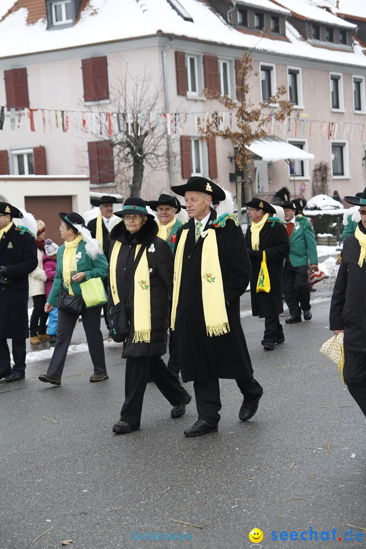 Narrentreffen-Radolfzell-20012013-bodensee-community-seechat-de_474.JPG