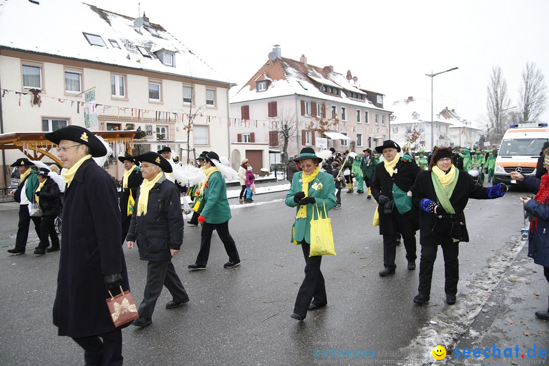 Narrentreffen-Radolfzell-20012013-bodensee-community-seechat-de_475.JPG