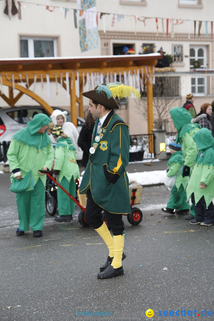 Narrentreffen-Radolfzell-20012013-bodensee-community-seechat-de_477.JPG