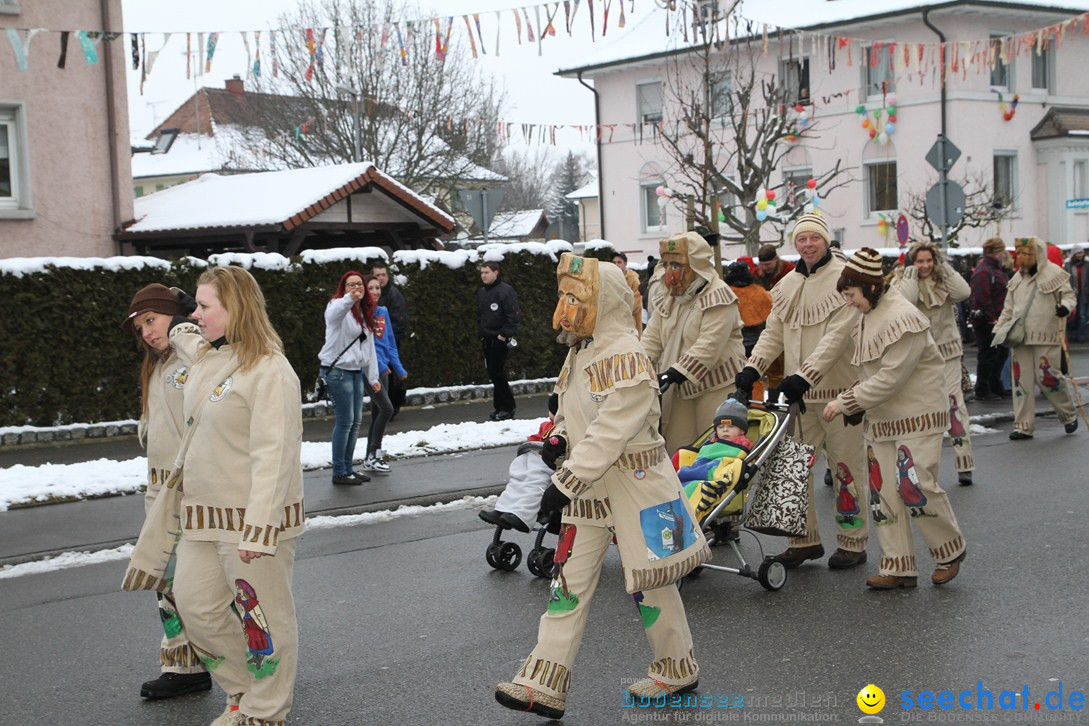 Narrentreffen-Radolfzell-20012013-bodensee-community-seechat-de_479.JPG