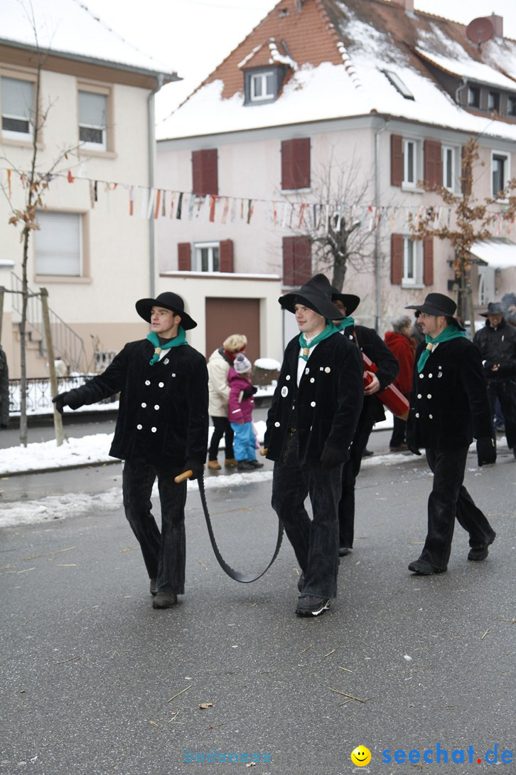 Narrentreffen-Radolfzell-20012013-bodensee-community-seechat-de_48.JPG