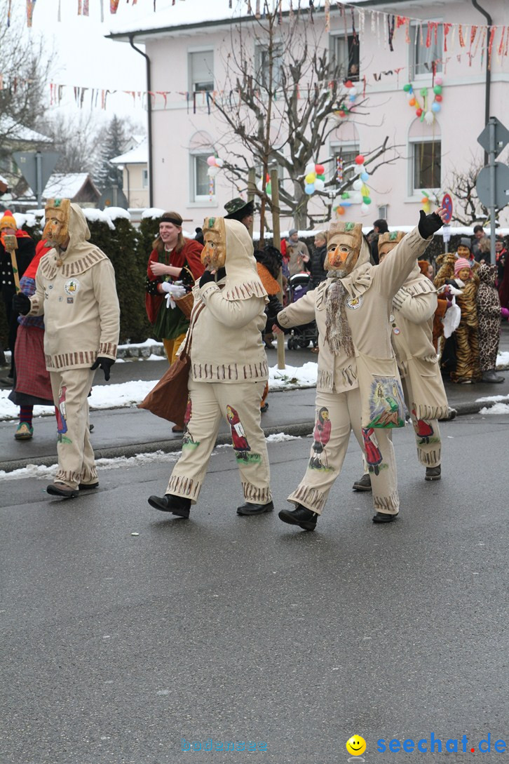 Narrentreffen-Radolfzell-20012013-bodensee-community-seechat-de_480.JPG