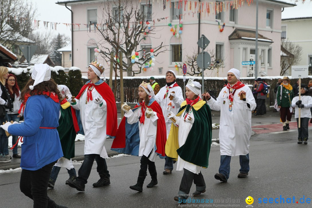 Narrentreffen-Radolfzell-20012013-bodensee-community-seechat-de_49.JPG