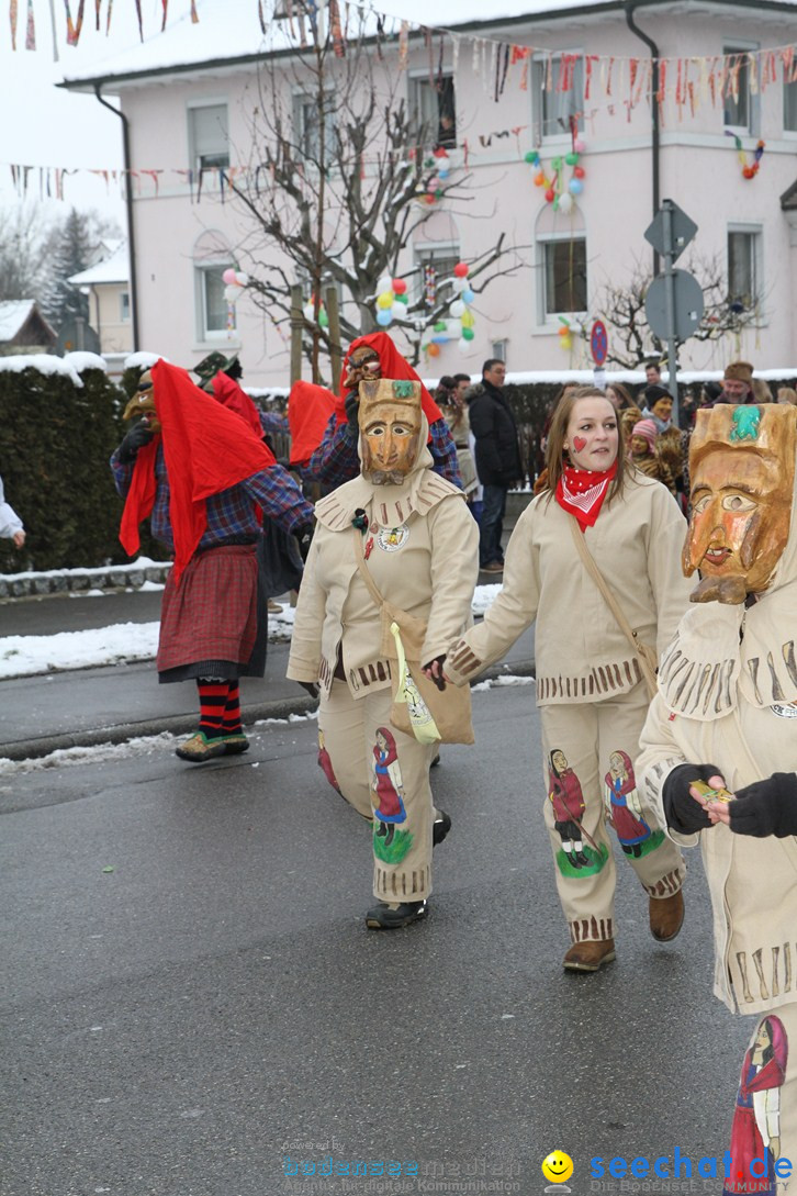 Narrentreffen-Radolfzell-20012013-bodensee-community-seechat-de_5.JPG