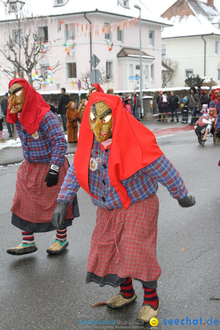 Narrentreffen-Radolfzell-20012013-bodensee-community-seechat-de_50.JPG