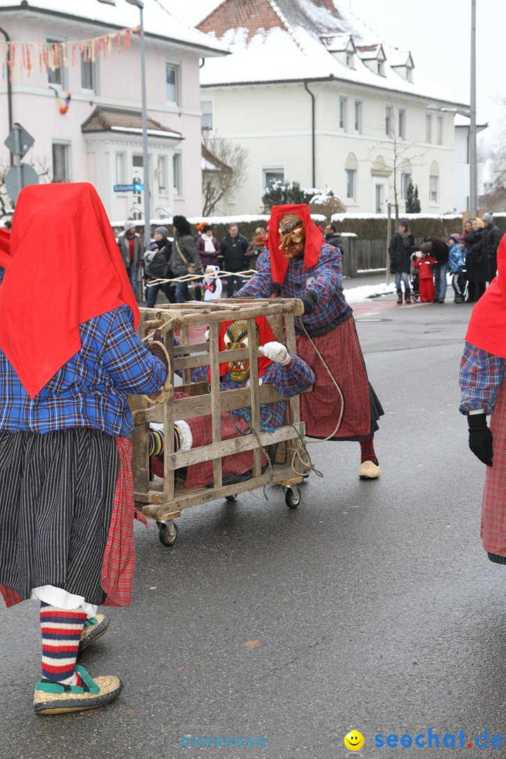 Narrentreffen-Radolfzell-20012013-bodensee-community-seechat-de_51.JPG