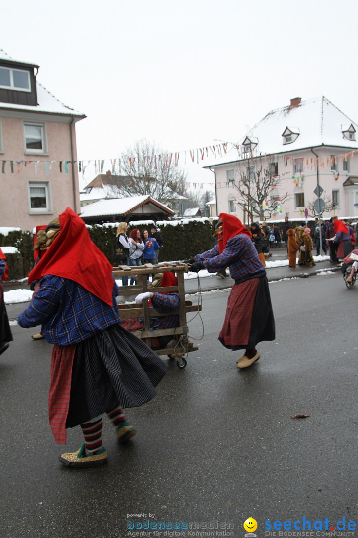 Narrentreffen-Radolfzell-20012013-bodensee-community-seechat-de_52.JPG