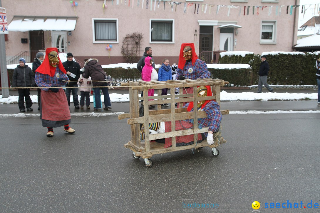 Narrentreffen-Radolfzell-20012013-bodensee-community-seechat-de_53.JPG