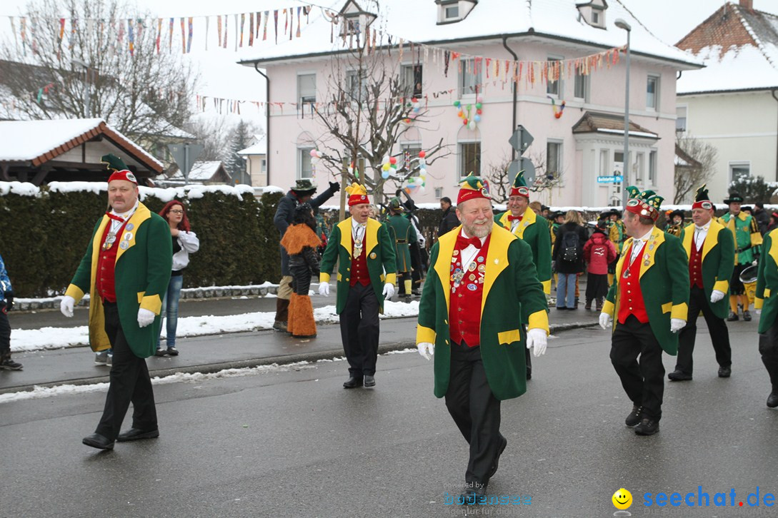 Narrentreffen-Radolfzell-20012013-bodensee-community-seechat-de_57.JPG