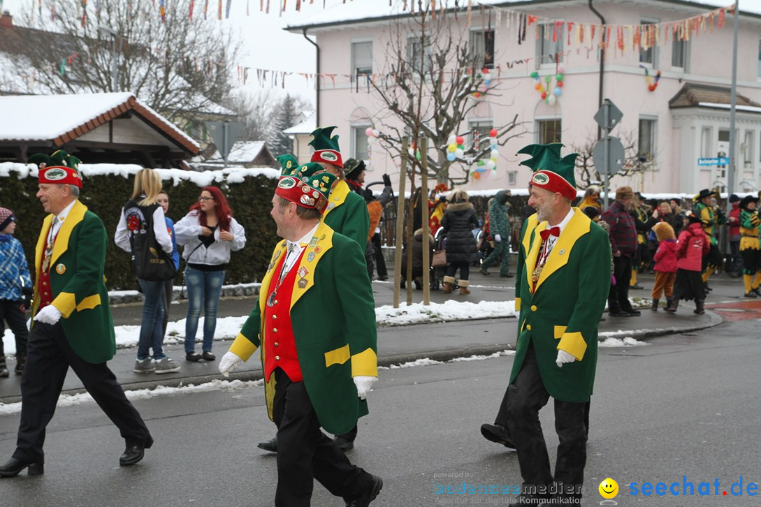 Narrentreffen-Radolfzell-20012013-bodensee-community-seechat-de_58.JPG