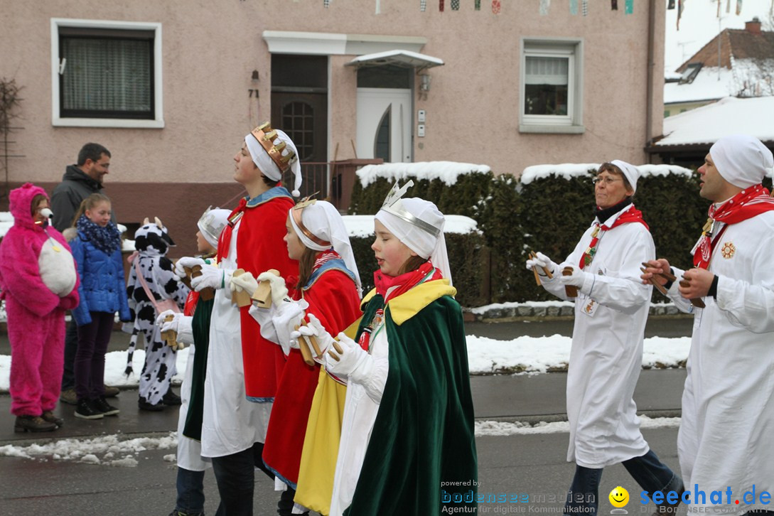 Narrentreffen-Radolfzell-20012013-bodensee-community-seechat-de_59.JPG