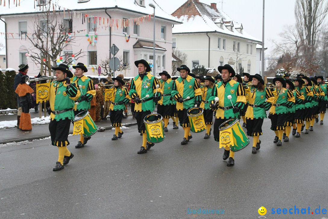 Narrentreffen-Radolfzell-20012013-bodensee-community-seechat-de_6.JPG