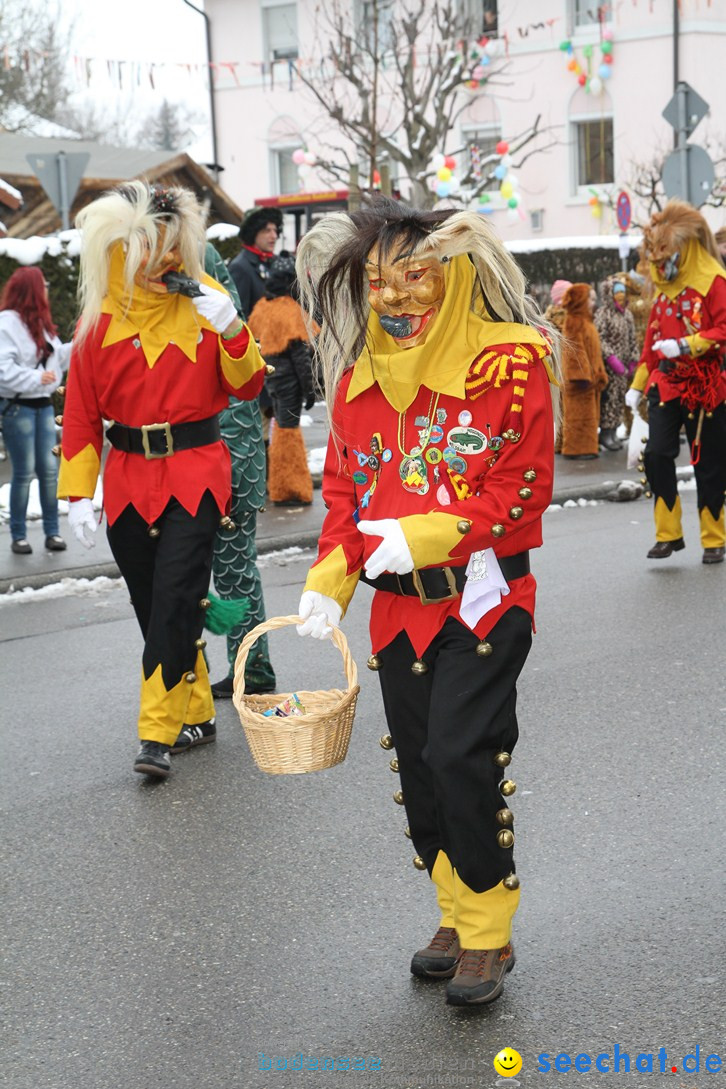 Narrentreffen-Radolfzell-20012013-bodensee-community-seechat-de_61.JPG