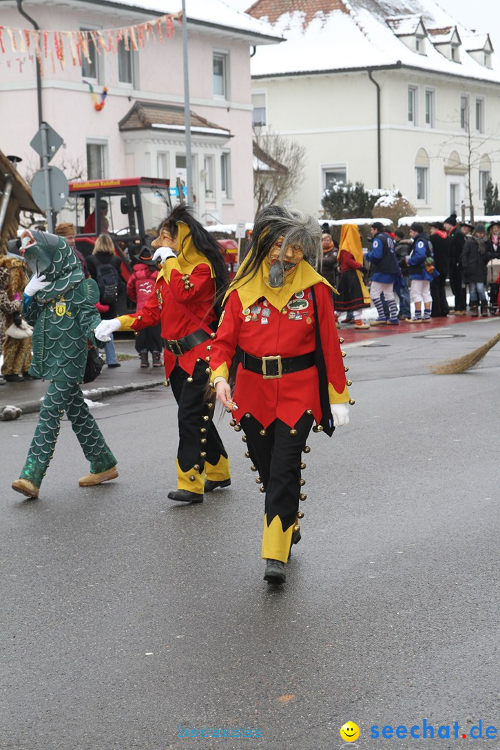 Narrentreffen-Radolfzell-20012013-bodensee-community-seechat-de_62.JPG