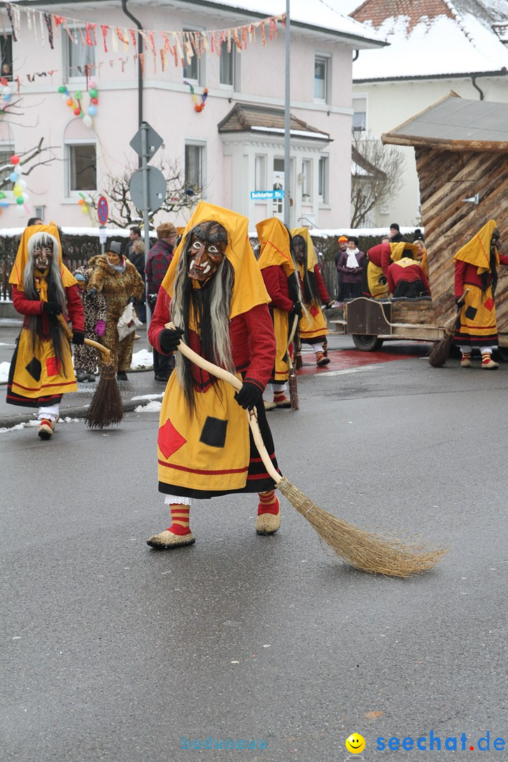 Narrentreffen-Radolfzell-20012013-bodensee-community-seechat-de_63.JPG