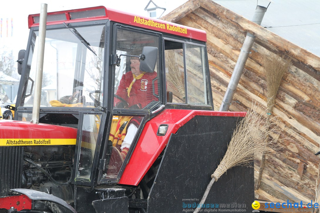 Narrentreffen-Radolfzell-20012013-bodensee-community-seechat-de_64.JPG