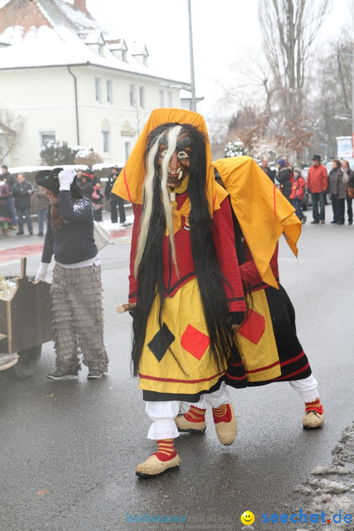 Narrentreffen-Radolfzell-20012013-bodensee-community-seechat-de_65.JPG