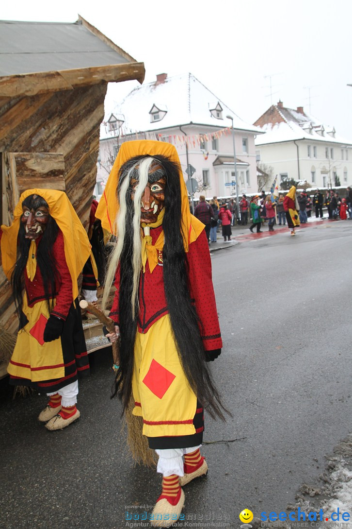 Narrentreffen-Radolfzell-20012013-bodensee-community-seechat-de_66.JPG