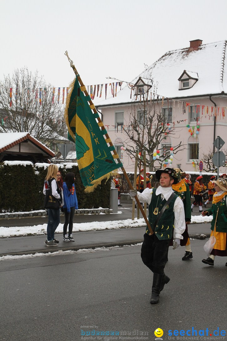 Narrentreffen-Radolfzell-20012013-bodensee-community-seechat-de_69.JPG