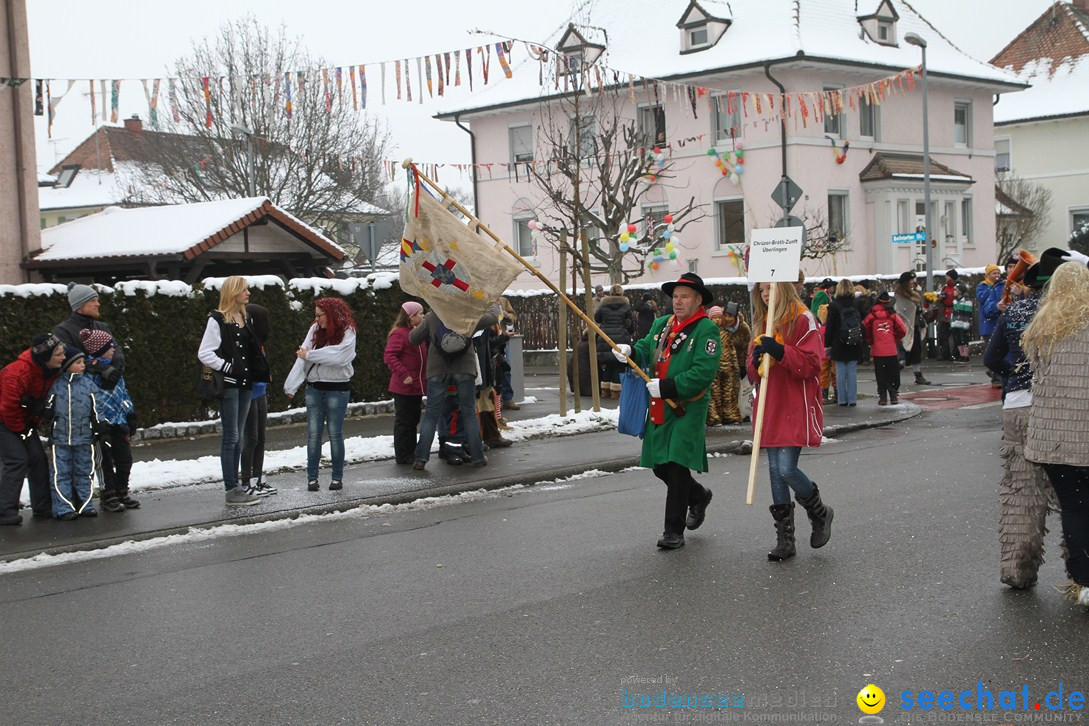 Narrentreffen-Radolfzell-20012013-bodensee-community-seechat-de_7.JPG