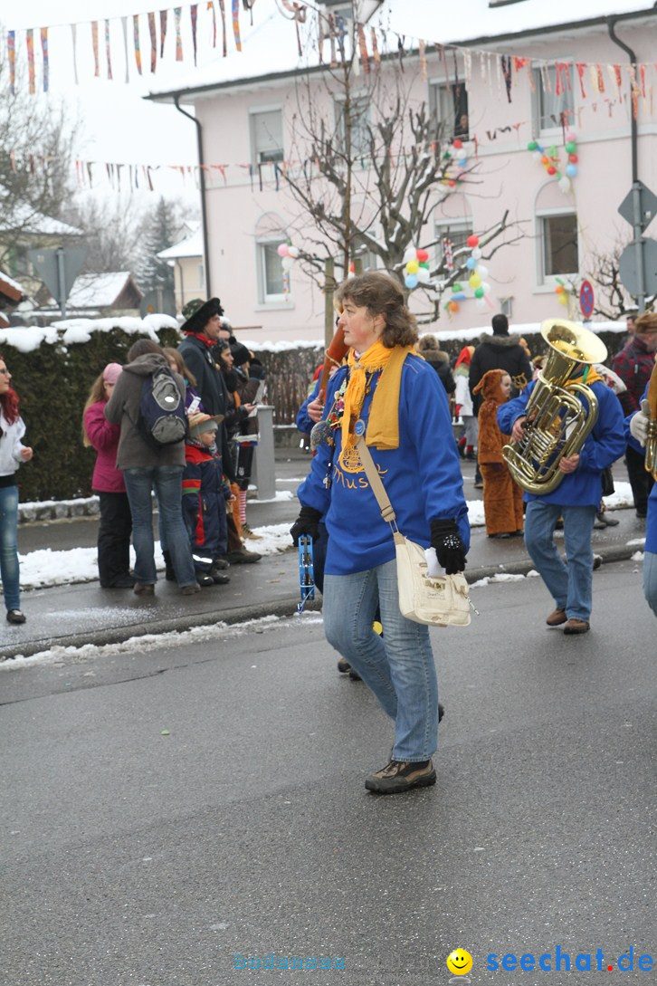 Narrentreffen-Radolfzell-20012013-bodensee-community-seechat-de_70.JPG