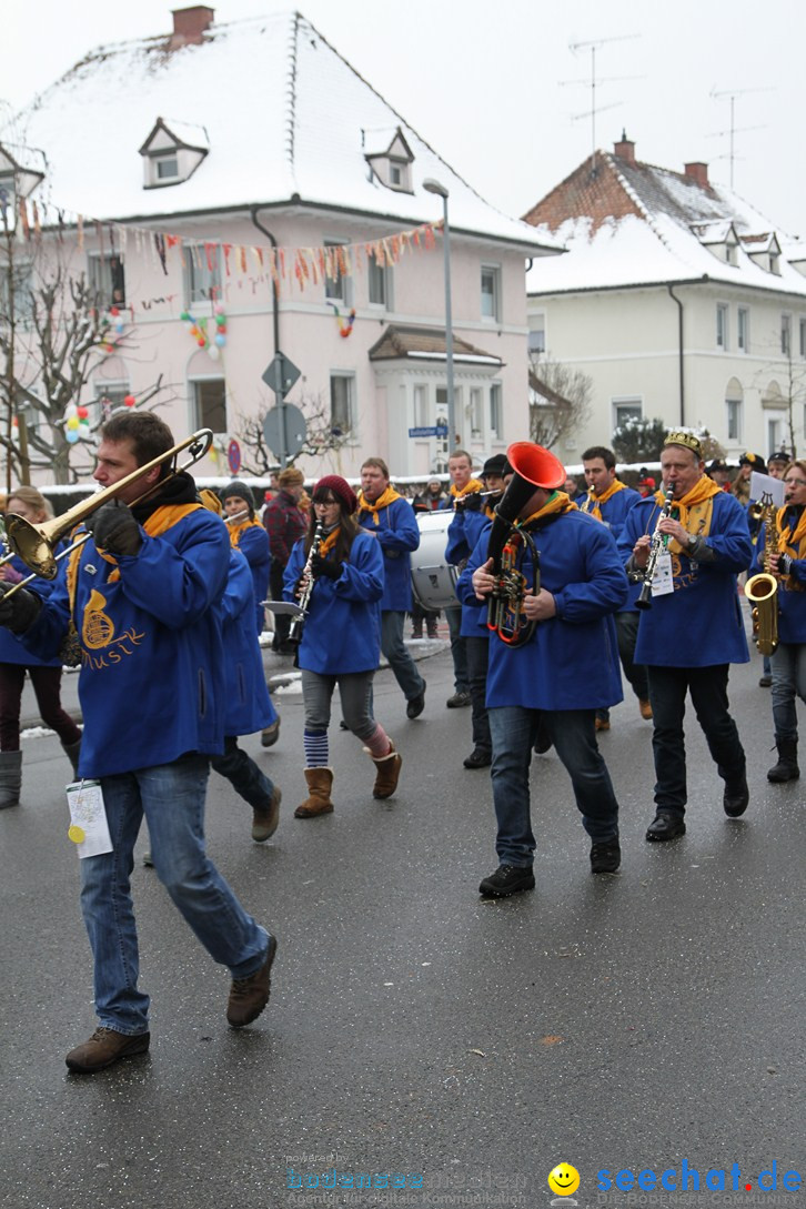 Narrentreffen-Radolfzell-20012013-bodensee-community-seechat-de_71.JPG