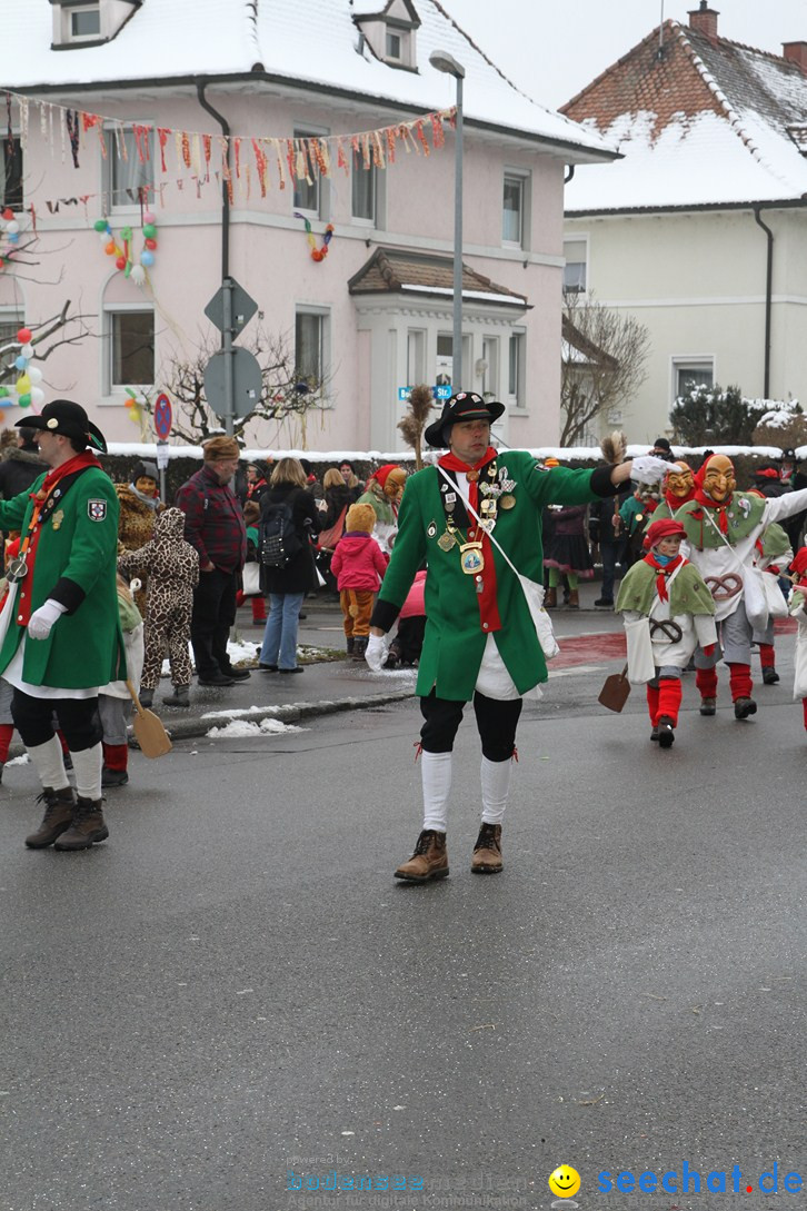 Narrentreffen-Radolfzell-20012013-bodensee-community-seechat-de_73.JPG